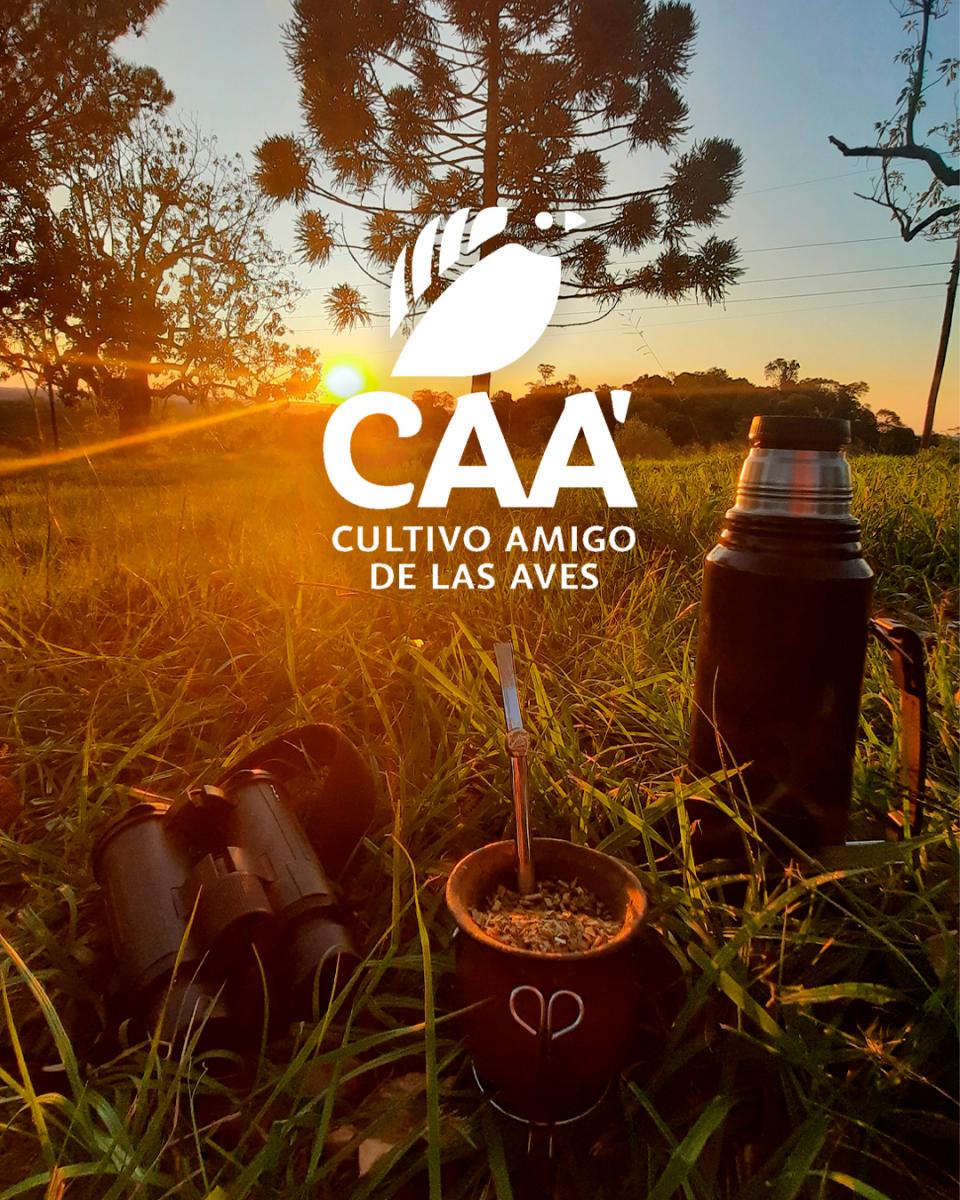 Yerba Mate Molida Arapeguá – CAÁ – La Abundancia